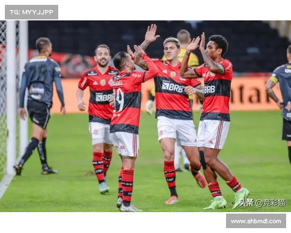 巴西弗拉门戈足球俱乐部：辉煌历史与现代霸主地位的崛起之路